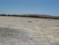 Port ISBI,- Cyprus. Bankable Feasibility Study for Lefke copper-gold tailings, 2010.